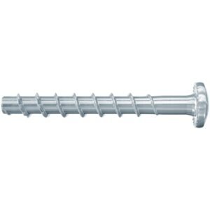 fischer UltraCut FBS II 6 x 40/5 LP cabeza plana grande